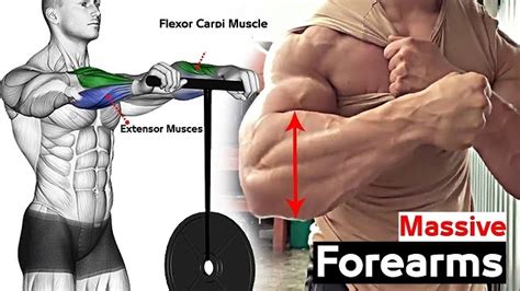The Top Exercises For Massive Forearm Development