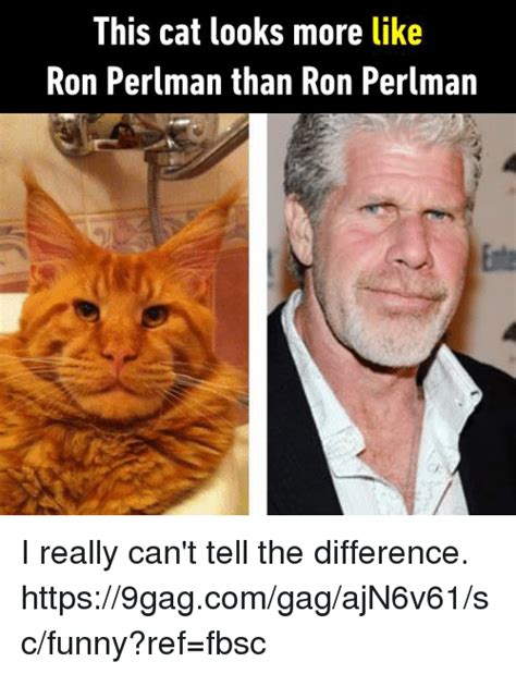 The best memes from instagram, facebook, vine, and twitter about perlman. 25+ Best Memes About Ron Perlman | Ron Perlman Memes