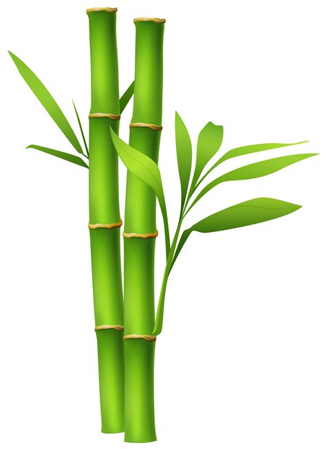 Free Bamboo Transparent Download Free Bamboo Transparent Png Images