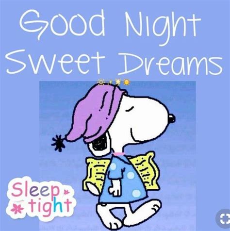 Good Night Snoopy Peanuts Goodnight Snoopy Snoopy Quotes Snoopy