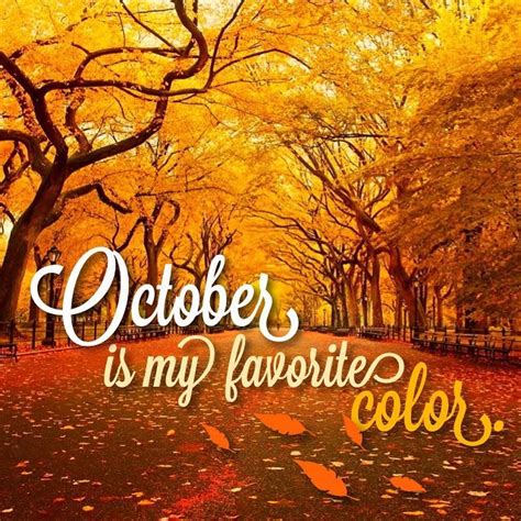 Pin By Linda G On Fall Into Autumn Autumn Scenes Autumn Quotes Fall