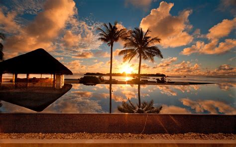 Sunset At Palm Beach Hd Desktop Wallpaper Widescreen High