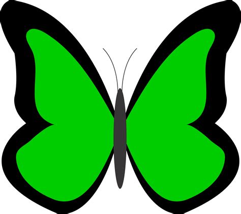 Green Butterfly Clip Art Clipart Best