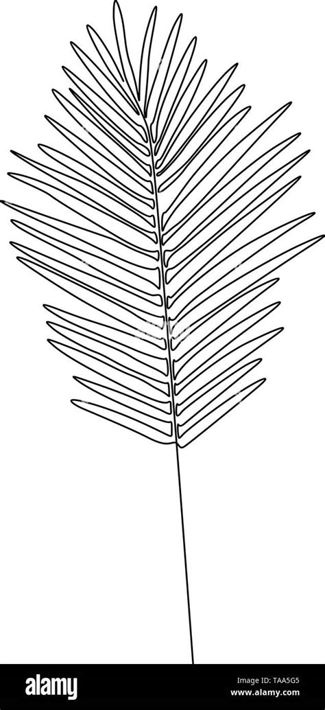 One Line Drawing Areca Palm Leaf Continuous Line Exotic Tropical Plant