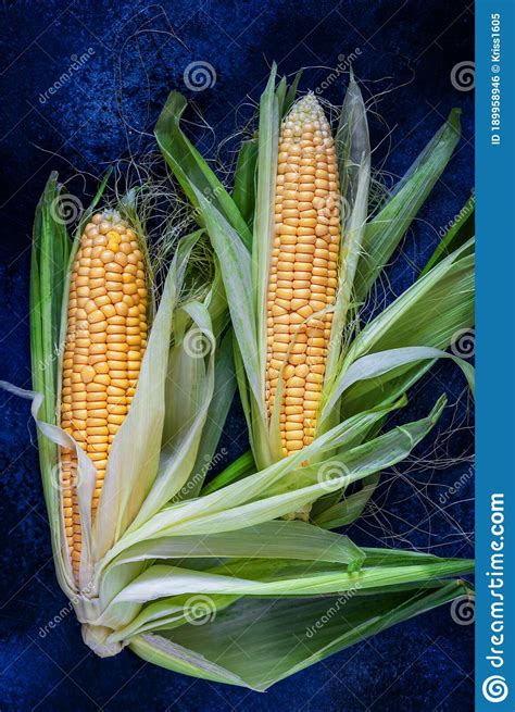 Two Cobs Of Young Yellow Corn With Beautifully Spread Leaves On A Dark