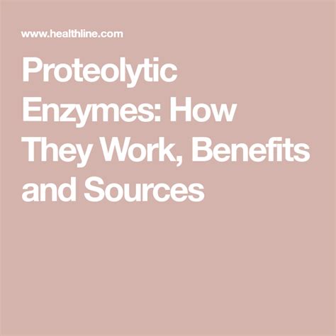 Proteolytic Enzymes How They Work Benefits And Sources Anti