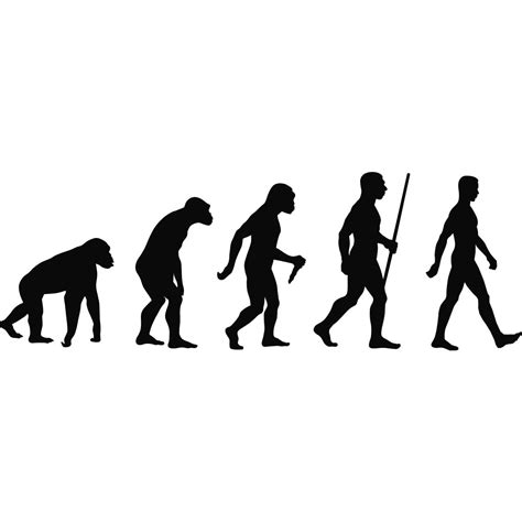 Evolution Of Man Sihouette Wall Art Stickers Wall Decal Transfers