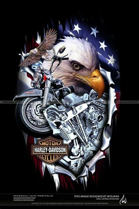 Bald Eagle Harley Davidson Harley Davidson