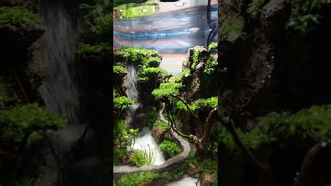 Aquarium unik sendiri merupakan sebuah model aquarium dengan bentuk yang tidak lazim seperti biasanya yang memiliki bentuk persegi panjang, karena memiliki bentuk yang tidak lazim atau umum. Aquarium unik - YouTube