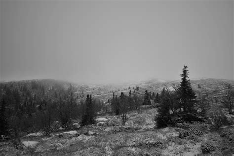 Winter Fall Landscape Black White Mist Norway