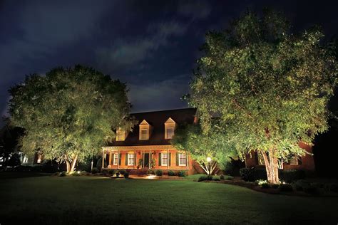 Outdoor lights are supposed to accent your yard. All About Landscape Lighting - This Old House