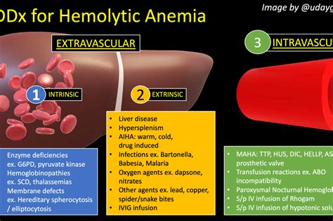 How Do You Workup Hemolytic Anemia Inspired Meded