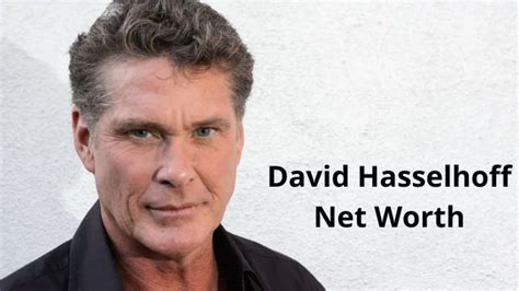 David Hasselhoff Net Worth 2023 How Did He Lose His Money