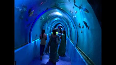 First Underwater Tunnel Aquarium In Mysore At Lokaranjan Aqua World