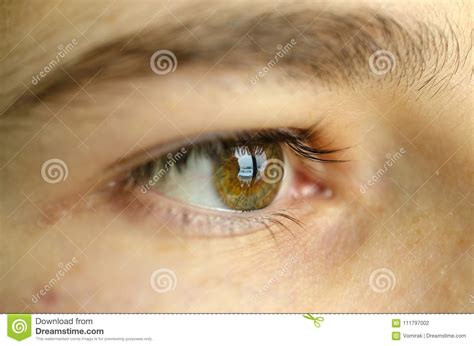 Human Eye Close Up Eyeball And Pupil Stock Photo Image Of Close