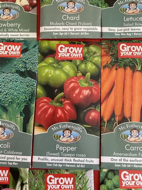 Vegetable Seeds Mixed Varieties 20 Packs Offer Easy To Grow Mr Fothergills Ebay