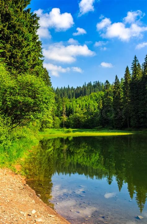 Mountain Lake Among The Green Fir Stock Image Colourbox