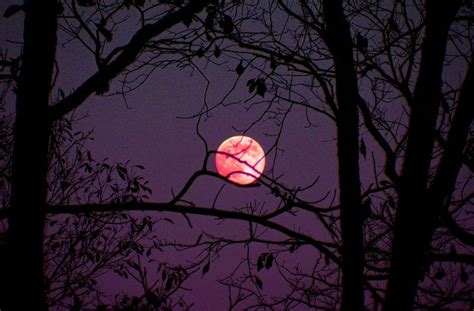 A fact she nonchalantly mentions at the very outset. 'Pink Moon' to Rise in the Sky This Week