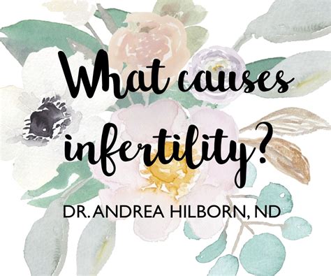 What Causes Infertility Dr Andrea Hilborn Nd