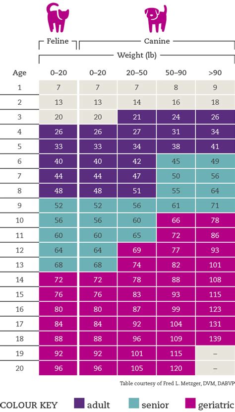 Of course, there are some differences in age conversion, depending on breed, weight, and other factors, but this chart gives you a general idea. CAT & DOG AGE CALCULATOR: WHAT'S THE REAL AGE OF YOUR PET ...