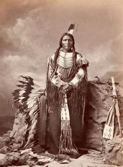 Lakota Native American Indians Native American Images Native American Tribes