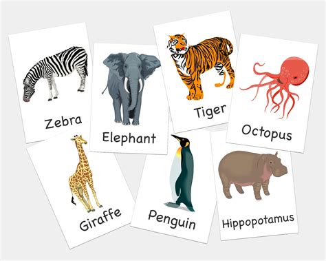 Zoo Animal Flashcards Printable Flashcards Learning For Babies And Kids