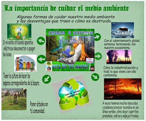 La Importancia De Cuidar Tu Medio Ambiente