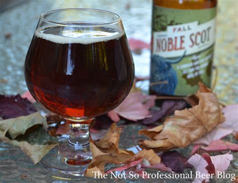Review Noble Scot Mactaranahans The Not So Professional Beer Blog