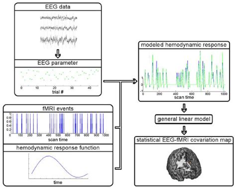 Sensors Free Full Text Simultaneous Eeg Fmri What Have We Learned