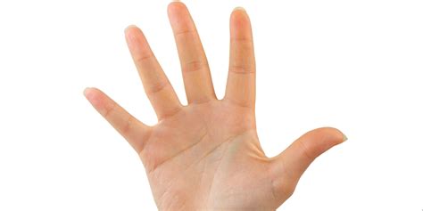 La quirología Tus manos revelan aspectos de tu personalidad HuffPost
