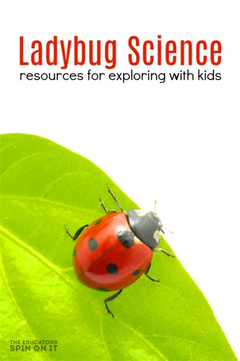 Ladybug Science With Kids The Educators Spin On It
