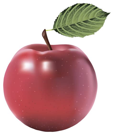 Vector Apple Fruit Png Baixar Imagem Png Arts