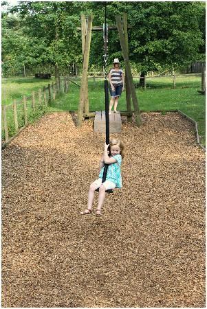 Backyard zip line kits for your home, trolleys, seats, equipment for sale. Safe zip line for kids- hands and hair aren't near the line and they aren't far from the g ...