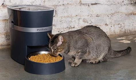 2,314 best automatic cat feeder products are offered for sale by suppliers on alibaba.com, of which pet bowls. 5 Best Smart Automatic Pet Feeders In 2020 - Top Rated Pet ...