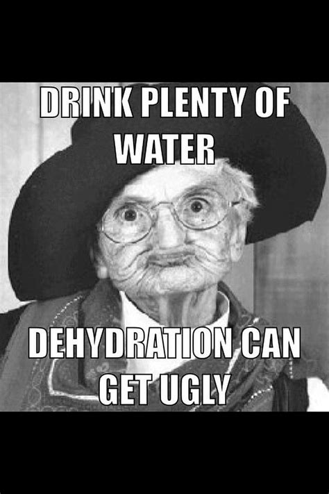 I don't think the intelligence reports are all that hot. Pin by Roxanna McElwain on A Bit of Humor | Drink plenty ...
