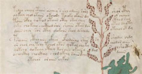 Voynich Manuscript Rcoolcontent
