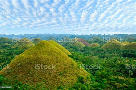 Chocolate Hills On Bohol Island Philippines Stock Photo Download