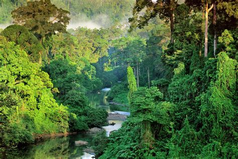 River In Lowland Rainforest Danum Valley Sabah Borneo Stock Photo