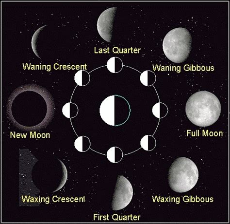 What Are The Phases Of The Moon