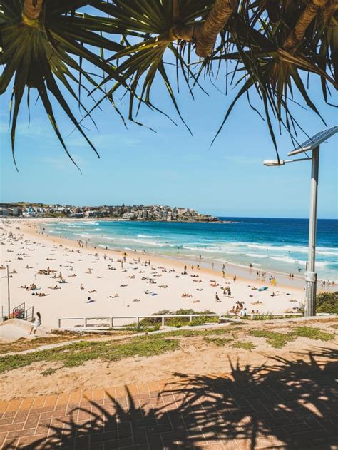 Australia Has The Best Beaches On Earth Change My Mind Bondi Beach