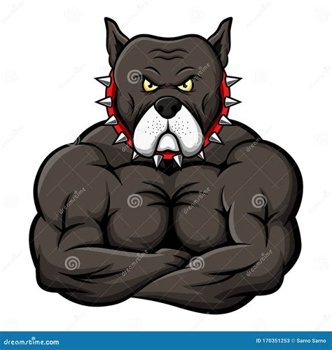 Strong Pitbull Bodybuilder Cartoon Vector 72110573