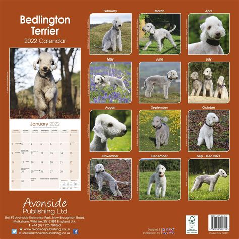 Bedlington Terrier Calendar Dog Breed Calendars Pet Prints Inc
