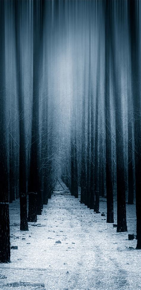 Dark Forest Woods Snow Winter 8k Vv Wallpaper 720x1480
