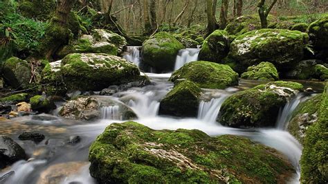 Hd Wallpaper Mountain Stream River Gravel Covered With Green Moss
