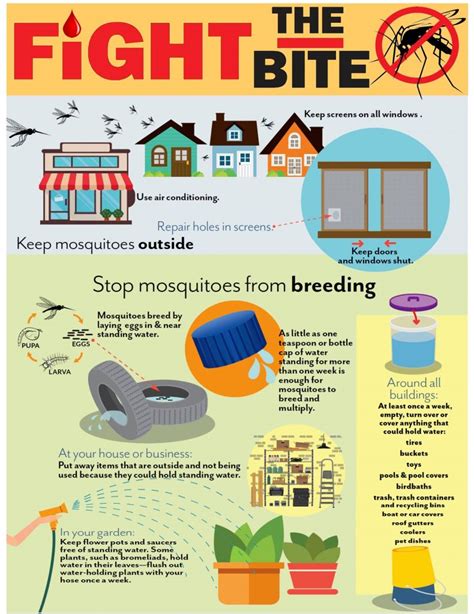 Mosquito Prevention Tips City Of La Joya
