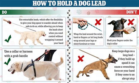 Dog Owners Suffering Injuries Because Theyre Holding Leads Wrong
