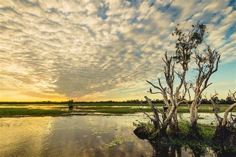 Image Of Sunset On A Wetland In Australia Austockphoto