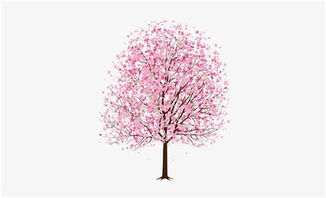 Cherry Blossom Drawing Tree Carinewbi