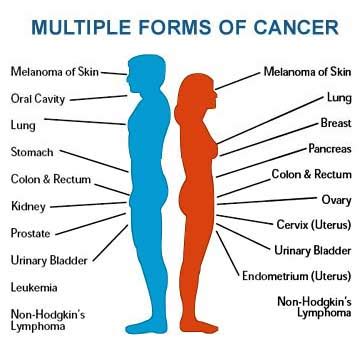 Cancer Its Types And Causes Online Science Notes