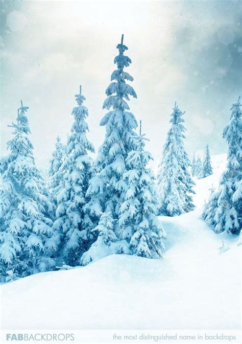 Winter Snow Trees Photo Backdrop Christmas Photography Backdrops